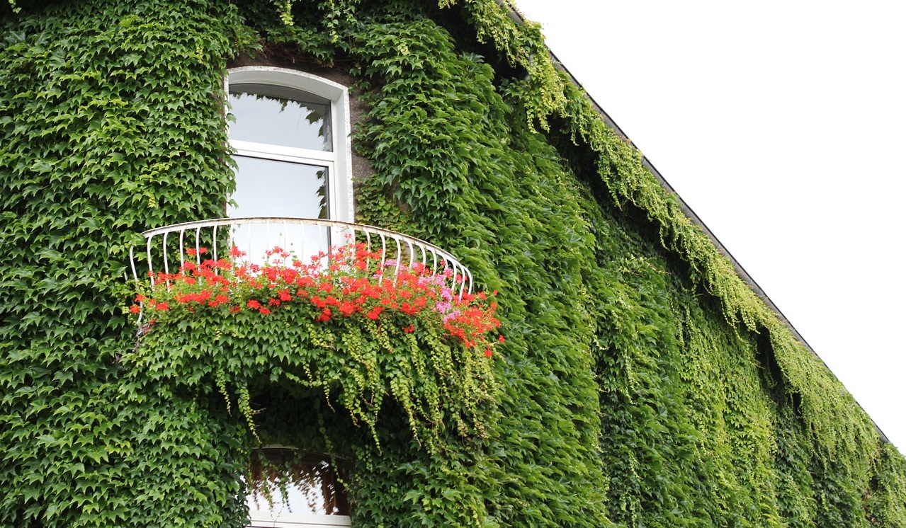 2 Graticci Da Giardino A Forma Di Foglia, In Metallo, Per Piante Rampicanti, Colore Verde, 142 Cm
